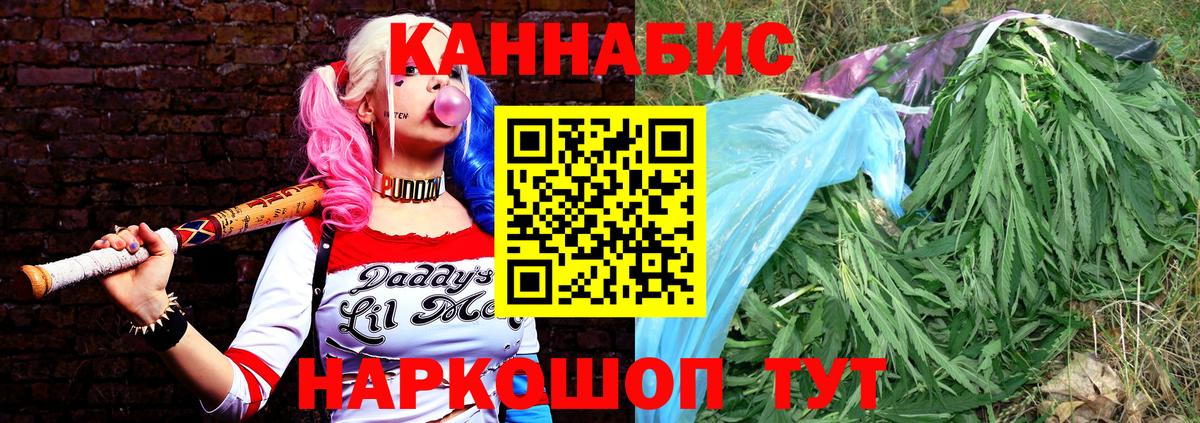 Марихуана сатива  Бошки марихуана планчик  Марихуана OG Kush  Вход с VPN  Озёрск 